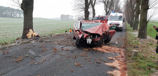 Do zdarzenia doszło w sobotę (15 grudnia) ok. godz. 9.00 w Kijach koło Sulechowa. Kierowca renault nagle zjechał na przeciwny pas jedni i uderzył w drzewo. Wyglądało to bardzo groźnie. Na miejsce przyjechali strażacy ochotnicy Kijów. Jak poinformowała podinsp. Małgorzata Stanisławska, rzeczniczka Komendy Miejskiej Policji w Zielonej Górze, kierowcy na szczęście nic poważnego się nie stało. Najprawdopodobniej mógł zasnąć za kierownicą lub się zagapić, ponieważ nie pamięta jak doszło do tego zdarzenia.Zobacz też: Dramatyczny wypadek na drodze krajowej nr 27