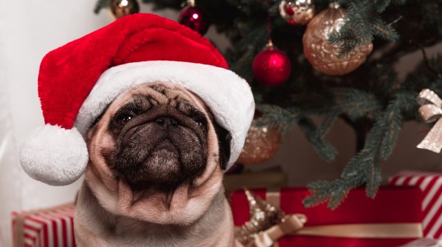 Nietrafione prezenty na Gwiazdkę mogą bardzo rozczarować osobę obdarowaną i zepsuć jej humor na Boże Narodzenie.