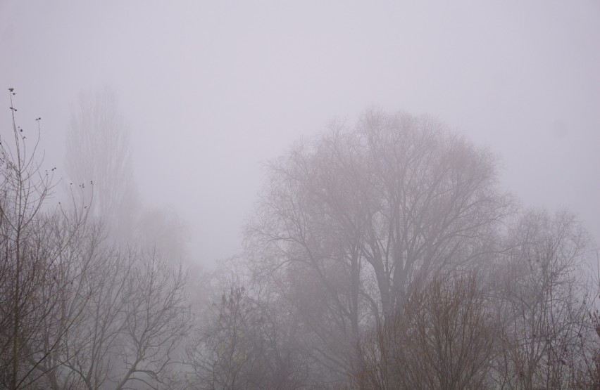 Na ulicach Lublina pojawiła się gęsta mgła. Zobacz, jak wyglądało miasto. Zdjęcia
