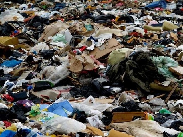 W lesie w Prostkach została góra śmieci, a firma, która je tam przywiozła, nie chciała ich uprzątnąć.