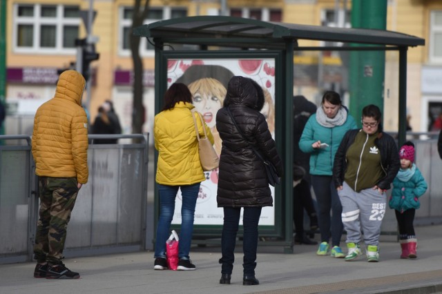 W środę, 2 listopada, w Poznaniu ruszy bezpłatna wypożyczalnia e-booków i audiobooków. Na poznańskich przystankach za darmo będzie można wypożyczyć 12 książkowych hitów