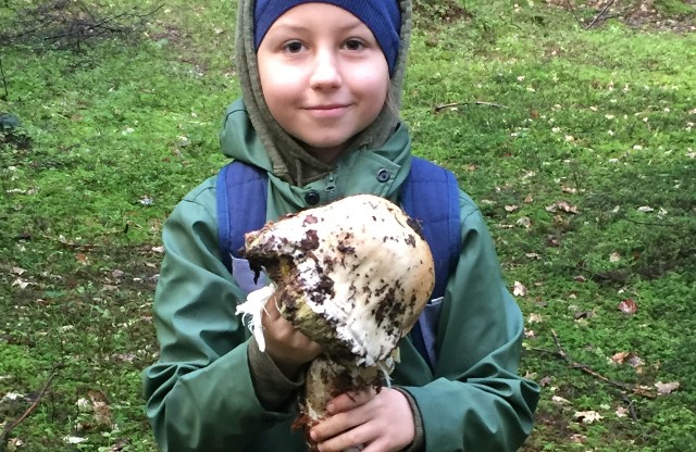 W świętokrzyskich lasach jest wysyp grzybów, multum grzybiarzy nawet z poza naszego województwa. Dziś w lasach Zagnańska syn Antoni znalazł 1,7kg prawdziwka w dodatku zupełnie zdrowego.