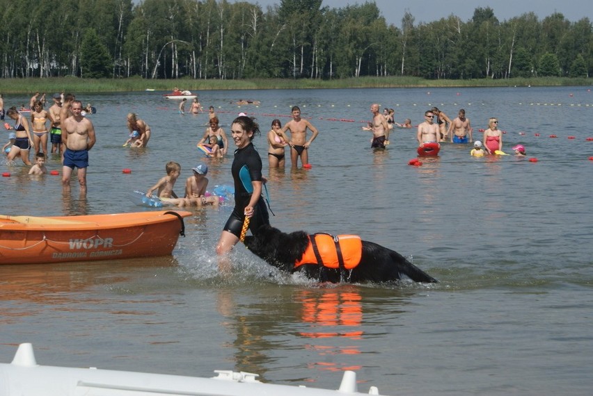 Mistrzostwa Polski Psów Ratowniczych i Pracujących w Wodzie...