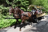 Tatry. Hybryda znów na testach. Jednak wciąż jest problem z jazdą w dół. Jaki los czeka nowatorski pojazd? 