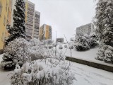 Zima w Częstochowie. Sypnęło śniegiem w nocy z 20 na 21 stycznia. Na drogach może być ślisko, ale miasto wygląda bajecznie