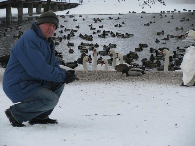 Antoni Stempień z Urzędu Miejskiego zajmuje się dokarmianiem ptaków od blisko 30 lat. - Dostają 100 kg pokarmu tygodniowo - mówi.