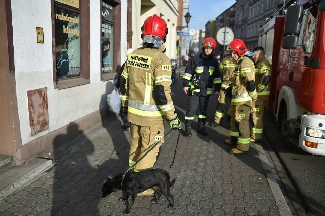 Strażacy z Leszna uratowali w poniedziałek psa, którego właściciel zmarł. Wycieńczone zwierzę od kilku dni czekało w mieszkaniu.Kolejne zdjęcie -->