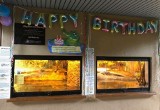 Płockie zoo zaprasza na 94. urodziny. Aligatorzyca Marta to prawdziwa gwiazda. Grała w filmie "Hydrozagadka"