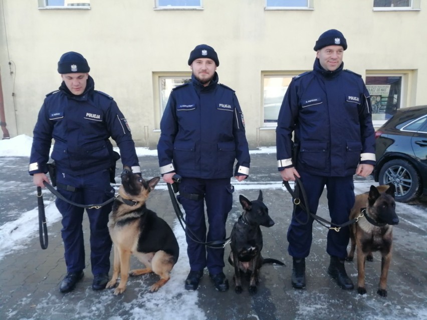 Nowe psy służbowe i ich przewodnicy (od lewej): posterunkowy...