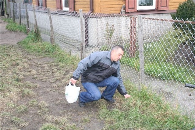 Waldemar Konferewicz pokazuje, gdzie geodeta zabił wbił słupki