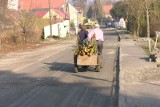 Zerwali nowy asfalt, żeby położyć kanalizację 