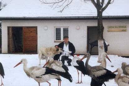 Nie wszystkie ptaki mogą liczyć na strawę w zimie, tak jak te z Kliniki Weterynaryjnej Andrzeja Fedaczyńskiego w Przemyślu.