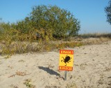 Nowy gatunek kleszczy atakuje. Zmiany klimatyczne sprawią, że będzie ich więcej