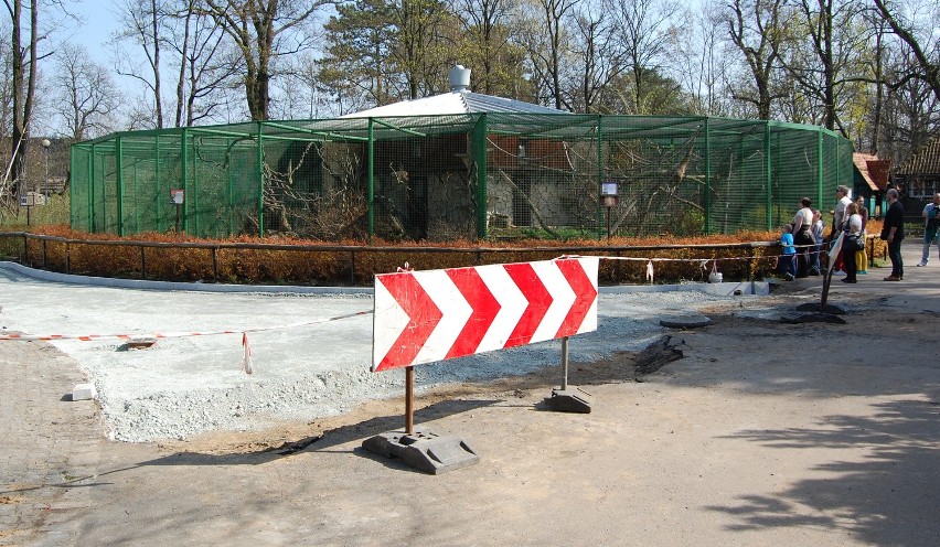 Zoo to wielki plac budowy. Dlaczego więc bilety są tak drogie? (ZDJĘCIA)