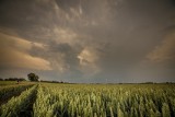 Prognoza pogody. Ostrzeżenie przed burzami z gradem na Pomorzu!