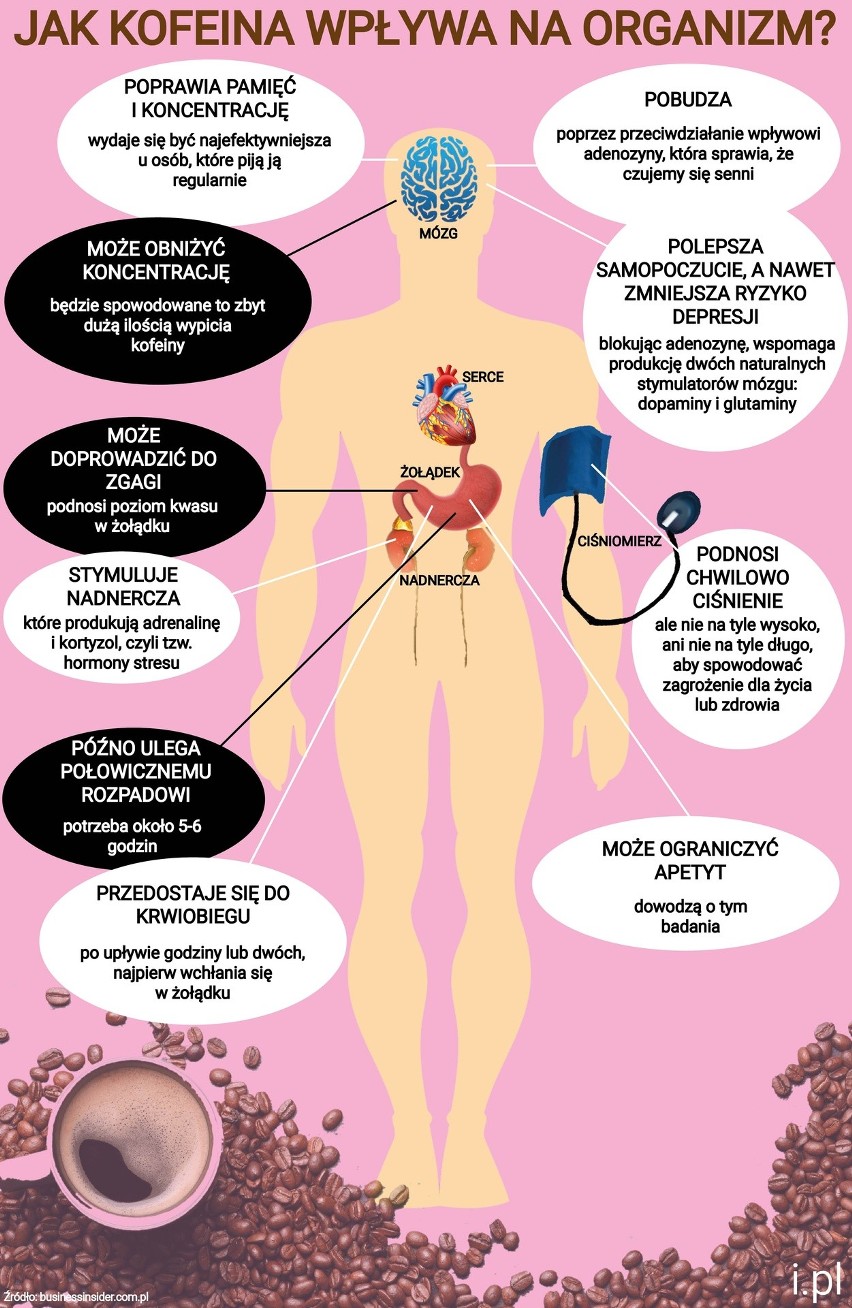 Jak kawa wpływa na nasz organizm? Oto najważniejsze fakty