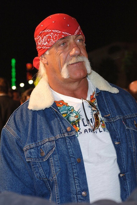 Hulk Hogan (fot. Shutterstock)
