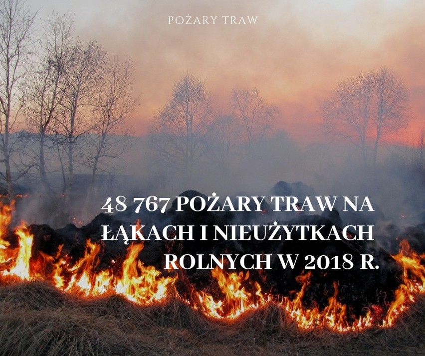 Najgorszy pod tym względem był kwiecień - aż 18 tys....