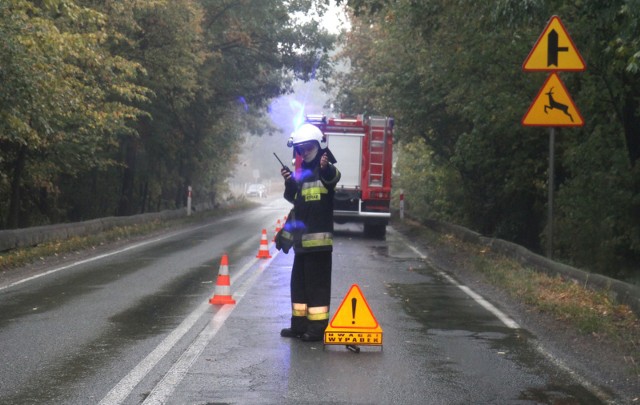 W wypadku w Dobrzejowicach cztery osoby zostały ranne.