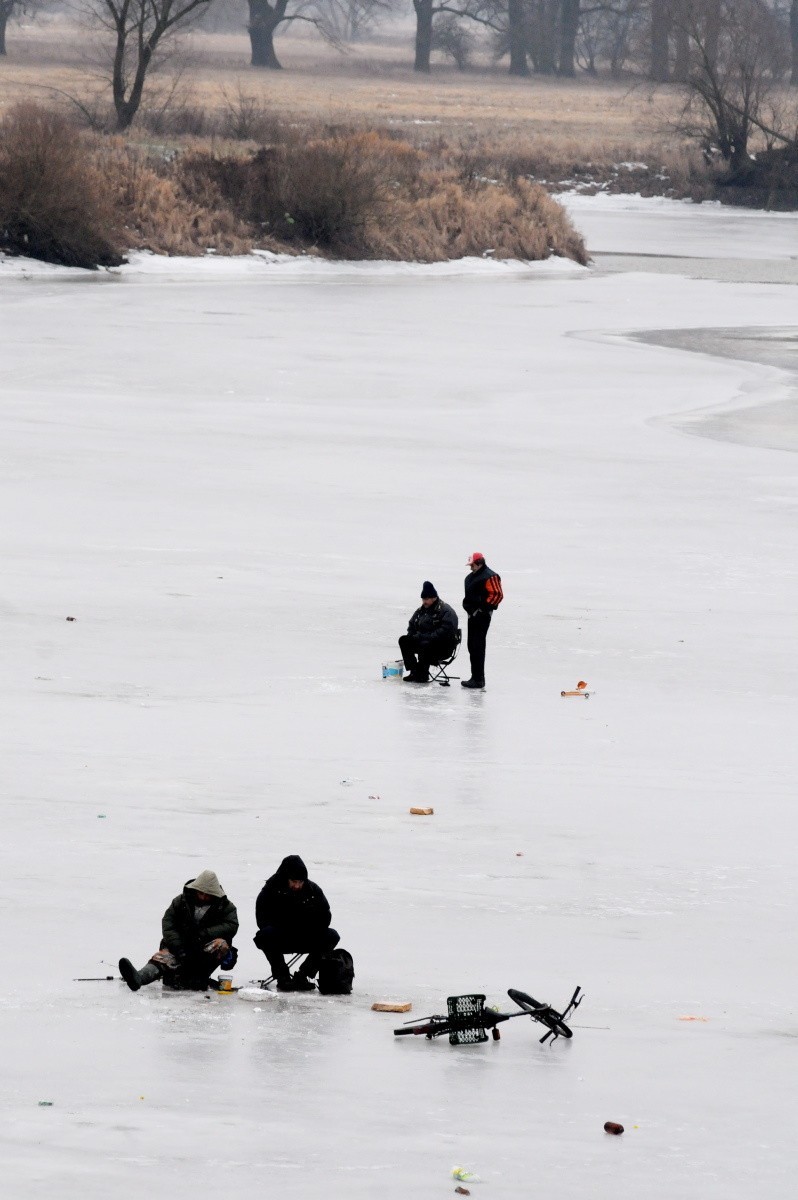Łowienie pod lodem na kanale w Krośnie Odrzańskim