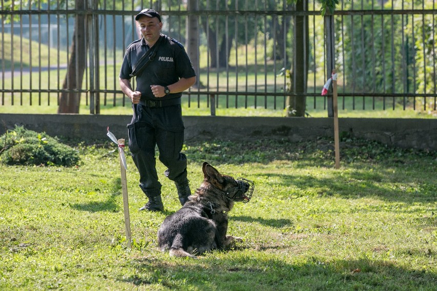 Policyjne psy gotowe na ŚDM