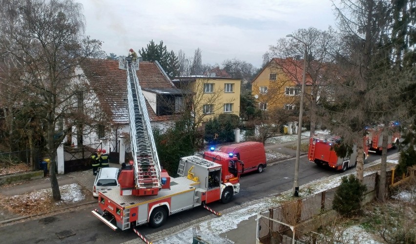 Pożar w domu na wrocławskim Zalesiu. Cztery zastępy straży na miejscu [ZDJĘCIA]