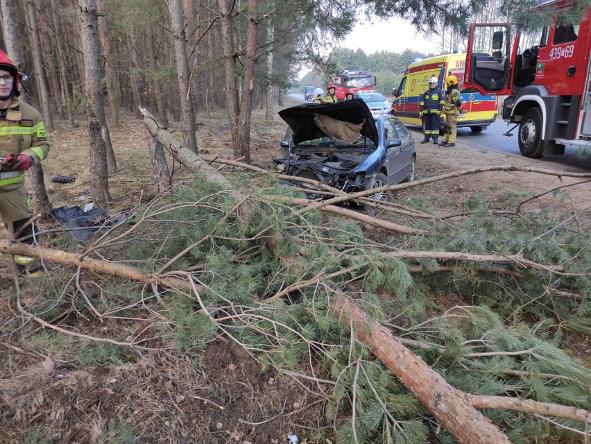 Wypadek w gminie Radoszyce. Seat wypadł z drogi i złamał drzewo. Kobieta trafiła do szpitala. Zobacz zdjęcia 