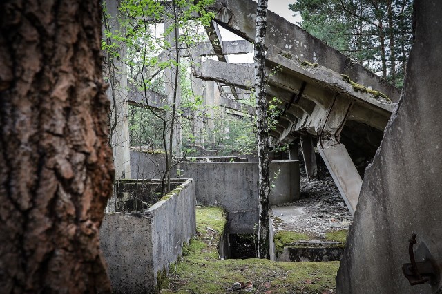 Las pod Nowogrodem Bobrzańskim kryje niejedną tajemnicę. Także mroczną. Dokładnie w tym miejscu, na terenie mającym blisko 35 km kw. znajdują się pozostałości po ogromnym kompleksie. Niektóre z tych budowli rodem z filmów science-fiction zachwycają i intrygują do dziś.