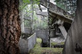 "Miasto" widmo ukryte w lubuskim lesie: Śmierć, eksperymenty, produkcja broni - tym się tutaj zajmowali Niemcy