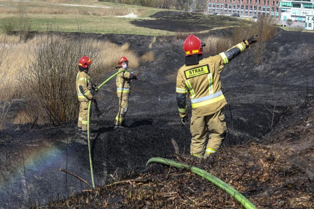 W 2022 roku średni czas akcji przy pożarach traw to 58 minut. Podczas akcji gaśniczych strażacy zużyli 45516 metrów sześciennych wody. Straty pożarowe oszacowano na 4,47 miliona złotych. Ponadto, w 2022 roku strażacy odnotowali aż 920 pożarów w lasach