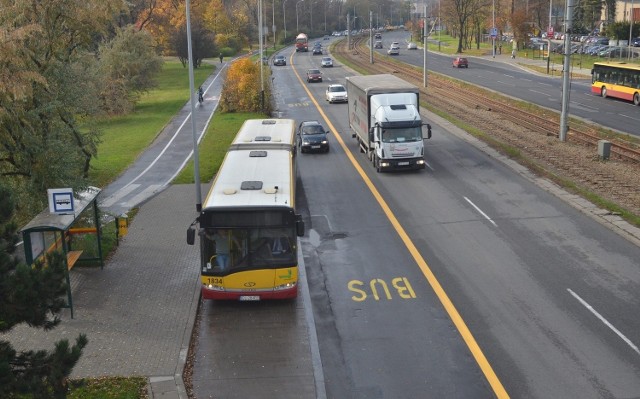 Nowe buspasy pojawiły się już na al. Mickiewicza Fot: Paweł Łacheta