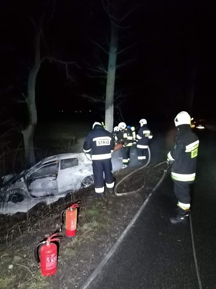 W Powiecie świeckim auto wypadło z trasy i spłonęło. Zobacz zdjęcia