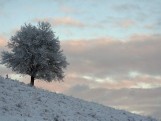 Śnieg w Bieszczadach. Zobacz piękne zdjęcia