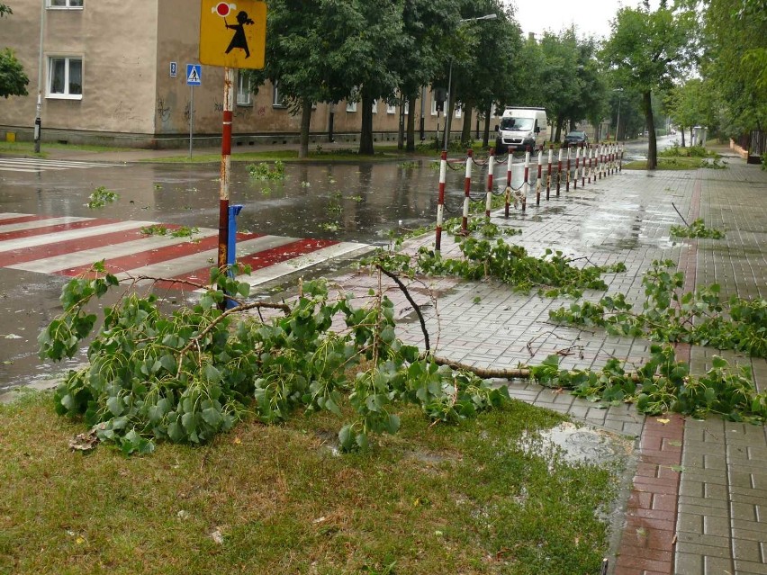 Połamane gałęzie na chodniku przy ulicy Podleśnej.