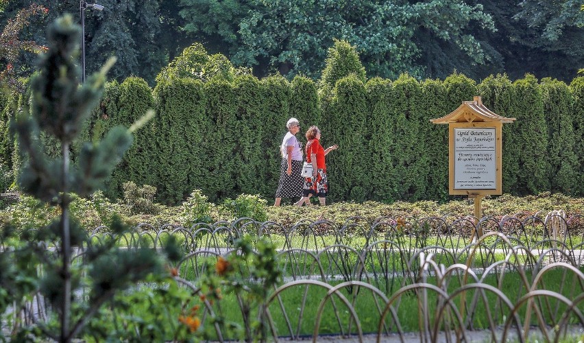 Ogród japoński, a w nim kwiaty wiśni - nowe oblicze...