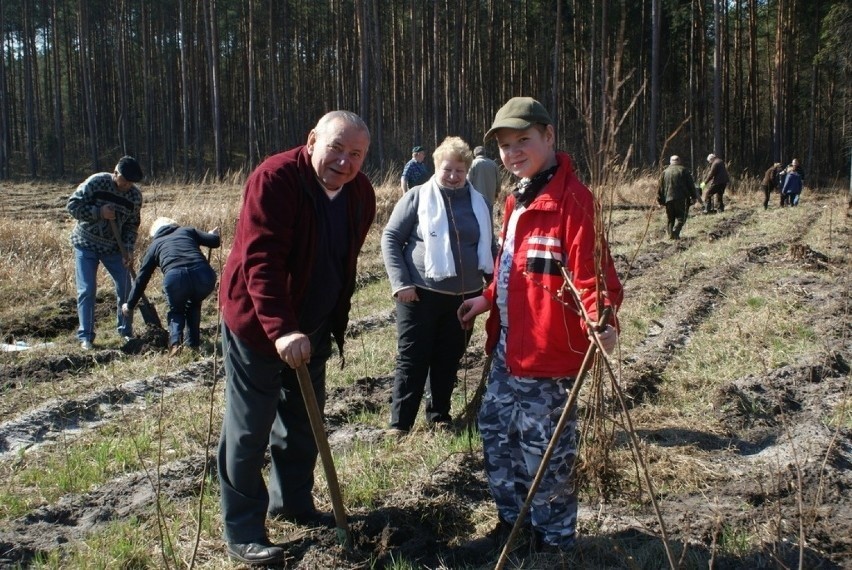 Las Europejski sadzony jest w Dąbrowie Górniczej od 2005...