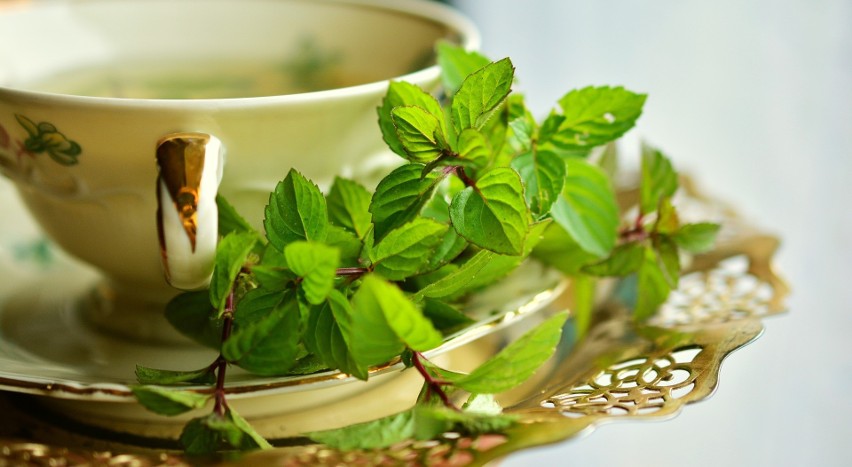 Herbaty i napary ziołowe są świetne zarówno dla zdrowia, jak...