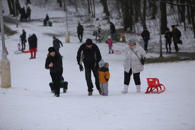 Tor saneczkowy w Parku Kościuszki