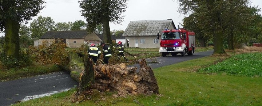 Dziś około godziny 11:30 w miejscowości Sierzchowo...