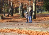 Jesień w Parku Kultury i Wypoczynku w Gliwicach. Wciąż jest tam pięknie ZDJĘCIA