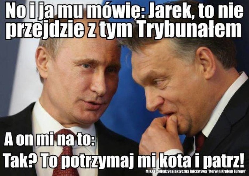 11. Trybunał Konstytucyjny