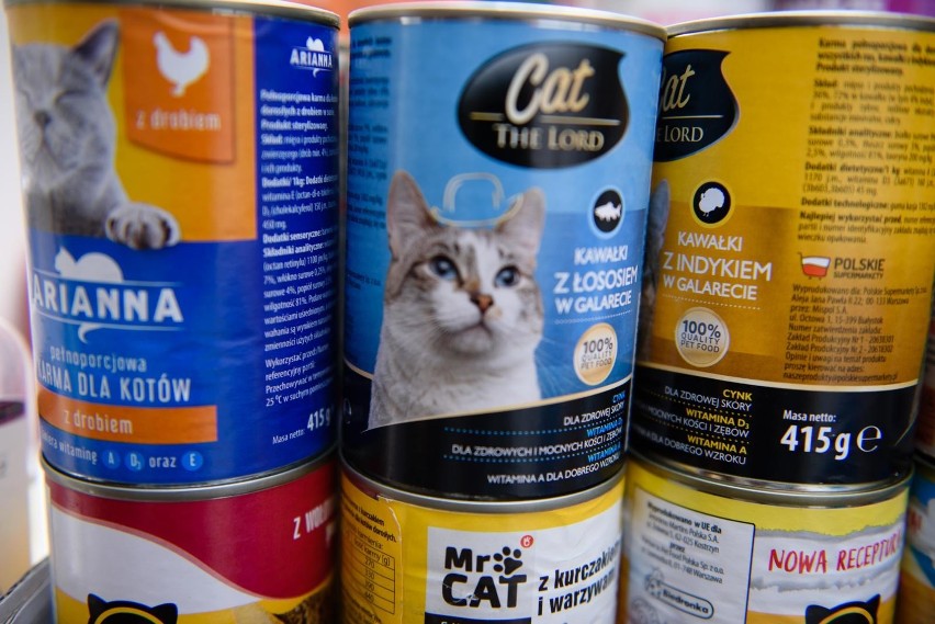 Toruńskie schronisko apeluje o karmę dla kotów