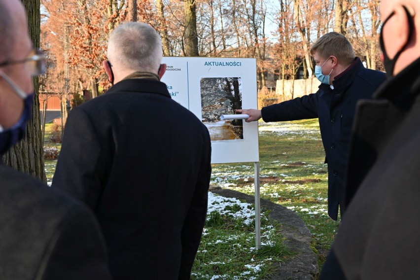 Zabytkowa Aleja Lipowa w Podzamczu zostanie odtworzona. Obok wiekowych wyrosną nowe drzewa