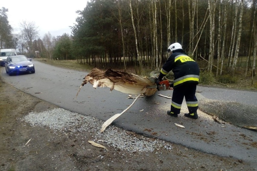 Wczoraj w miejscowości Piaski w powiecie grudziądzkim silny...