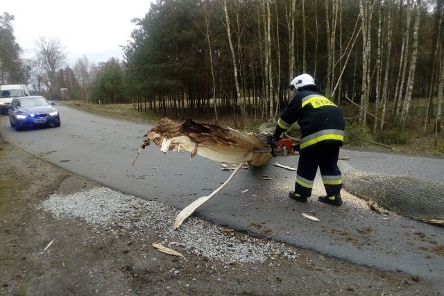 Wczoraj w miejscowości Piaski w powiecie grudziądzkim silny wiatr złamał konar drzewa, który spadł na przejeżdżającą ciężarówkę. Na szczęście nikomu nic się nie stało.Flesz - wypadki drogowe. Jak udzielić pierwszej pomocy?