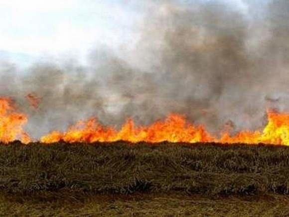 Pożar strawił około 15 ha słomy
