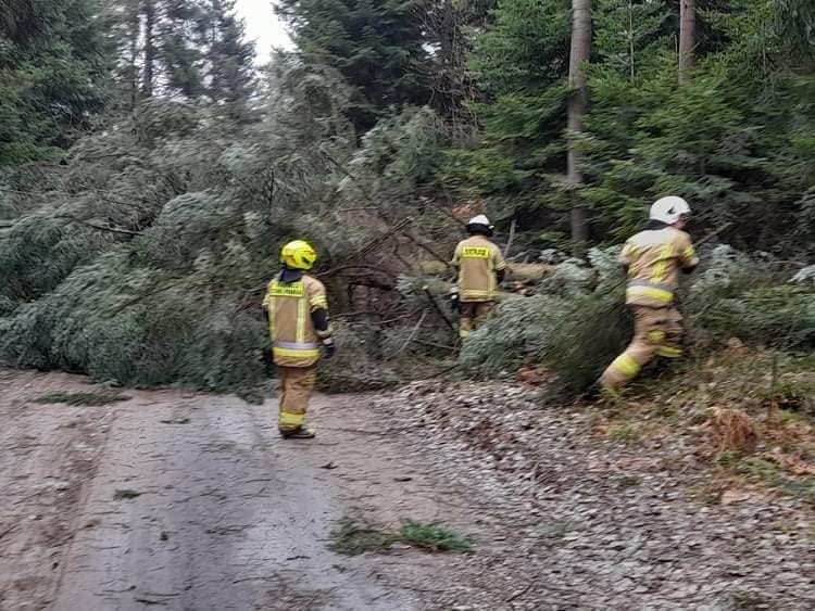 Dziesiątki interwencji strażaków z powiatu przysuskiego do powalonych drzew, uszkodzonych dachów, zerwanych linii energetycznych