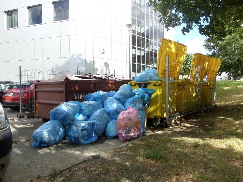 Kraków: śmieci walają się i pod urzędem [ZDJĘCIA]