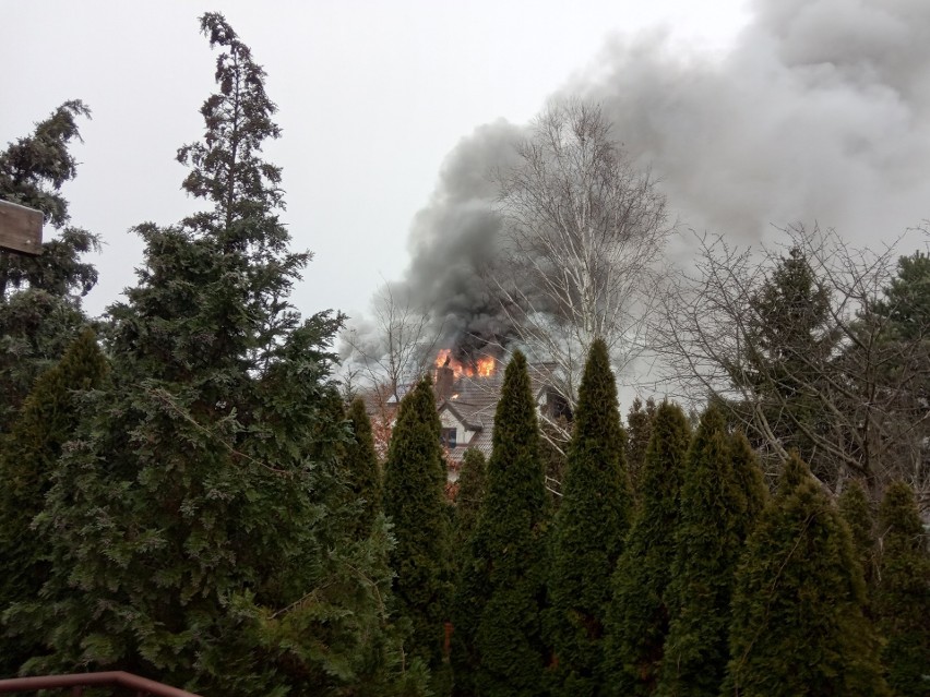 Pożar domu w Toruniu. Z ogniem walczyło siedem zastępów straży