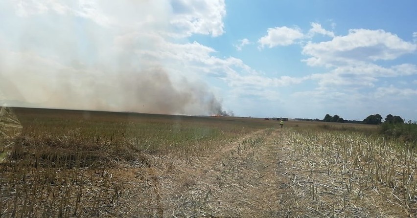 Pożar w okolicach Grąbkowa. Z ogniem walczy 25 zastępów straży pożarnej